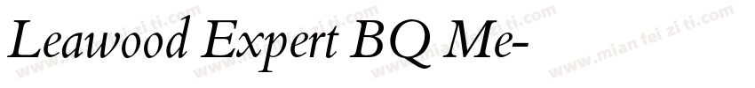 Leawood Expert BQ Me字体转换